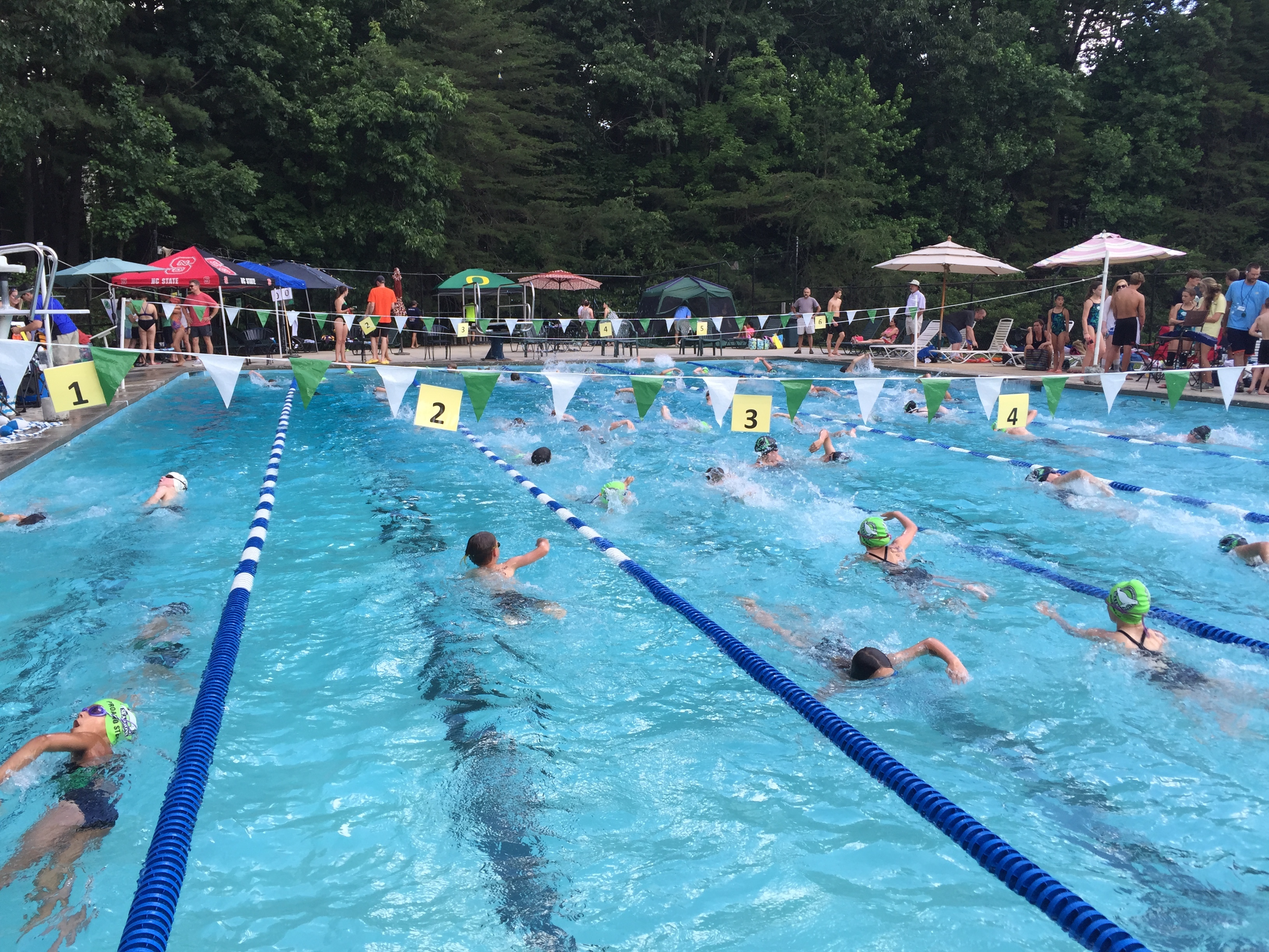 Home Shallowford Lakes Sea Lions