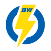 Botany Woods Swim Team Logo