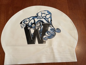 2019 version Swim Cap