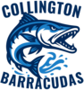 Collington Swim Team Logo