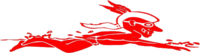 Swimming Indians Logo
