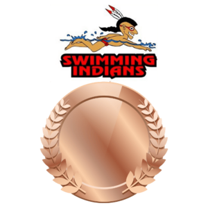 Bronze Sponsor Level