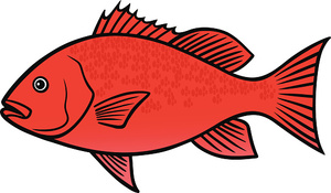 Swim Camp July 26-July 30 NON-MEMBER (11am-Noon)