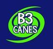 Brookstone 3 Hurricanes Logo