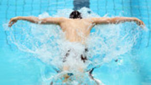 Individual Entries