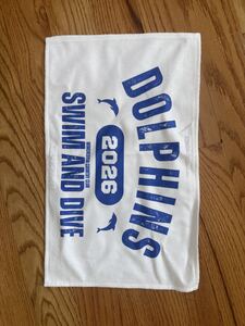 2026 Team Logo Dive Towel (notice the small size for these) (PT48)