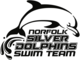 Nsd_logo
