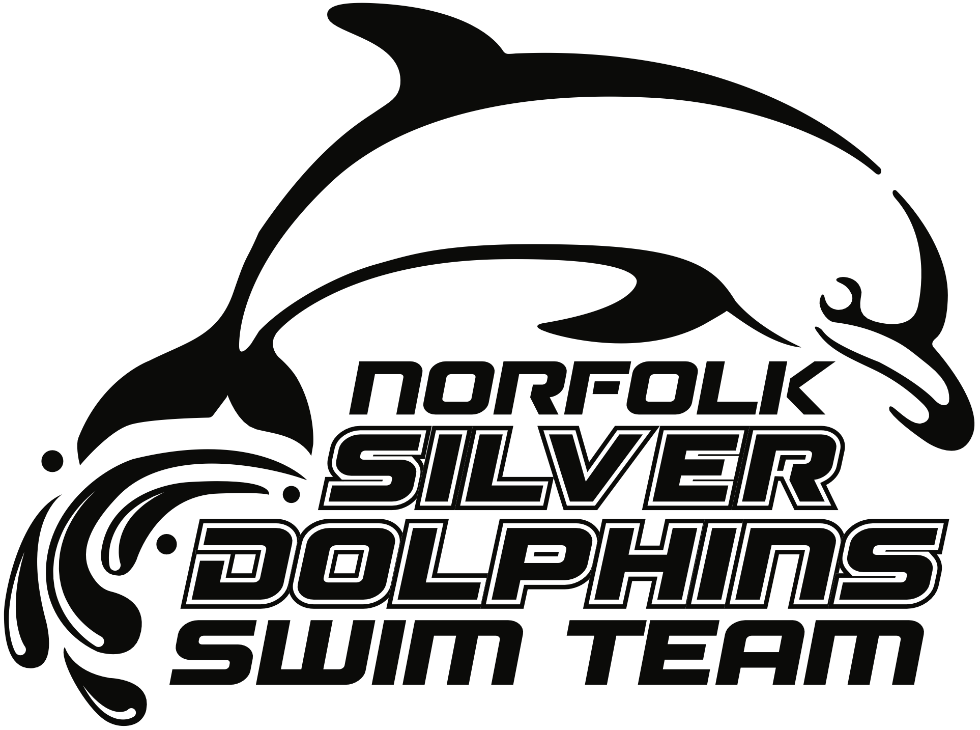 Picture of the 2023 Norfolk Silver Dolphins Logo