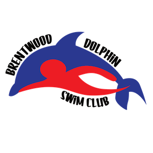 Bdsc_v3_logo_bluered_textfull_black_300px