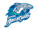 Atlanta Athletic Club Barracudas Logo