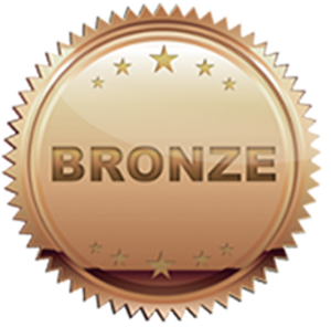 Bronze Sponsorship