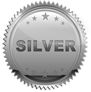 Silver Sponsorship