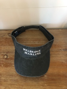 Visors