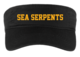 2019_-_team_visor