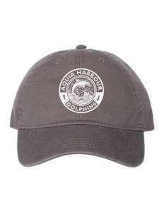 Dolphins Logo Hat