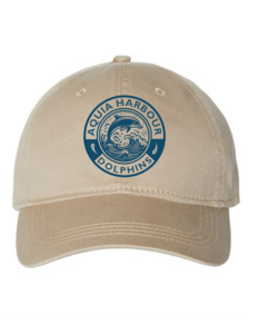Dolphins Logo Hat