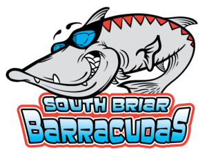 Barracudalogo2023_fullcolor_nosplash_small