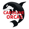 Caroline Orcas Logo