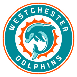 Dolphin Decal