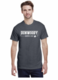 Dhs_swim_and_dive_spirit_t-shirt_2021-2022