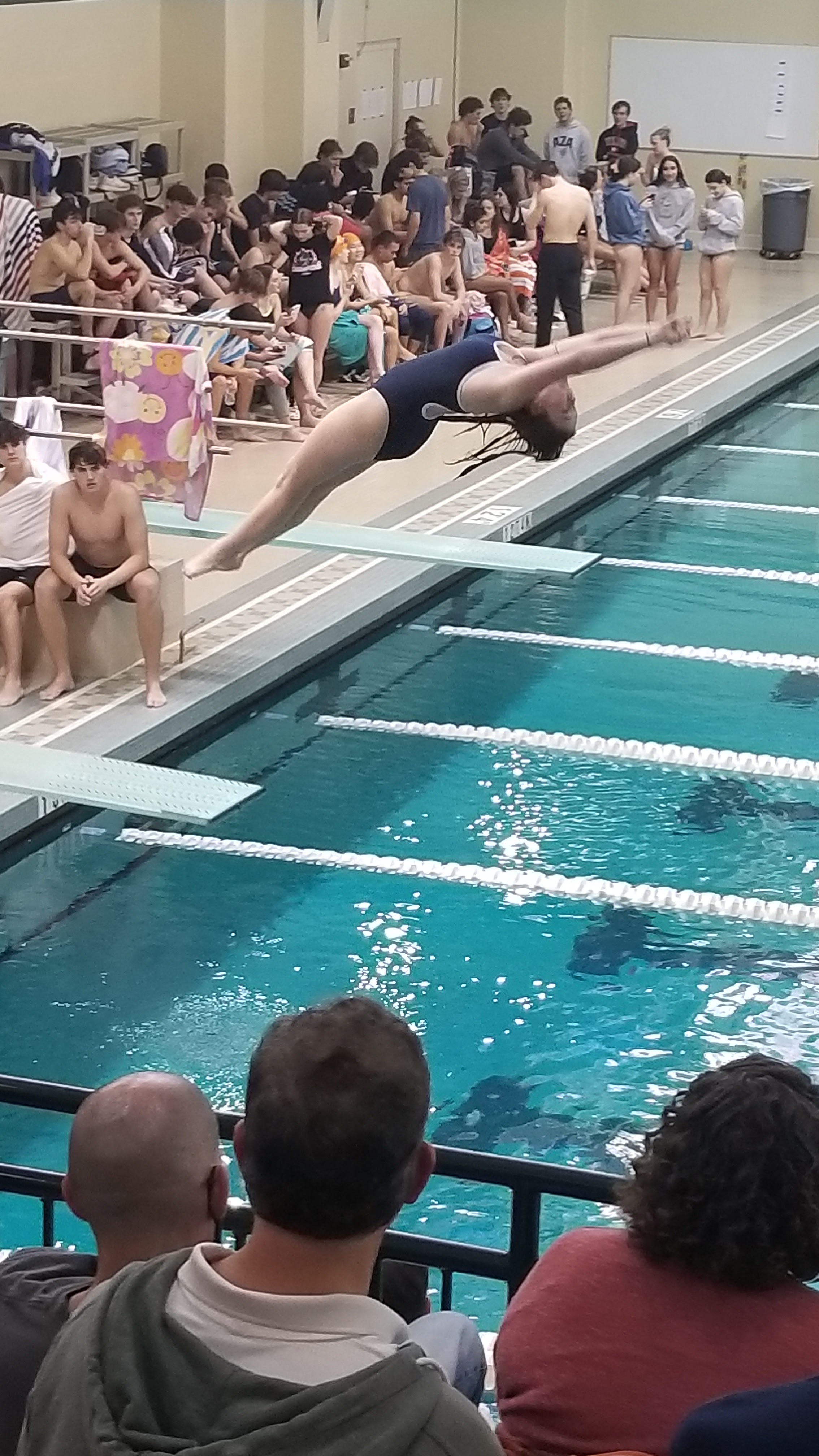 Dive Info Dunwoody High School Swim and Dive Team