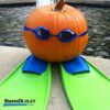 Pumpkin_swimmer