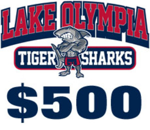 2020 Sponsor: Platinum Level