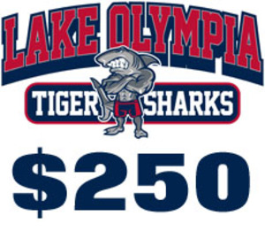 2020 Sponsor: Silver Level