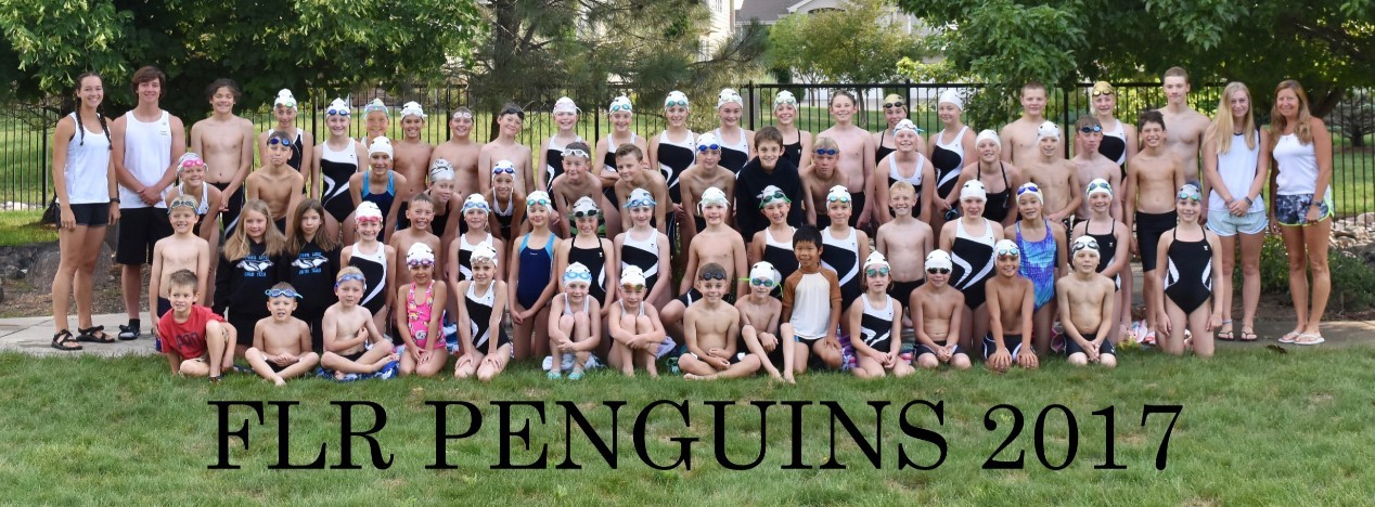 2017 Team