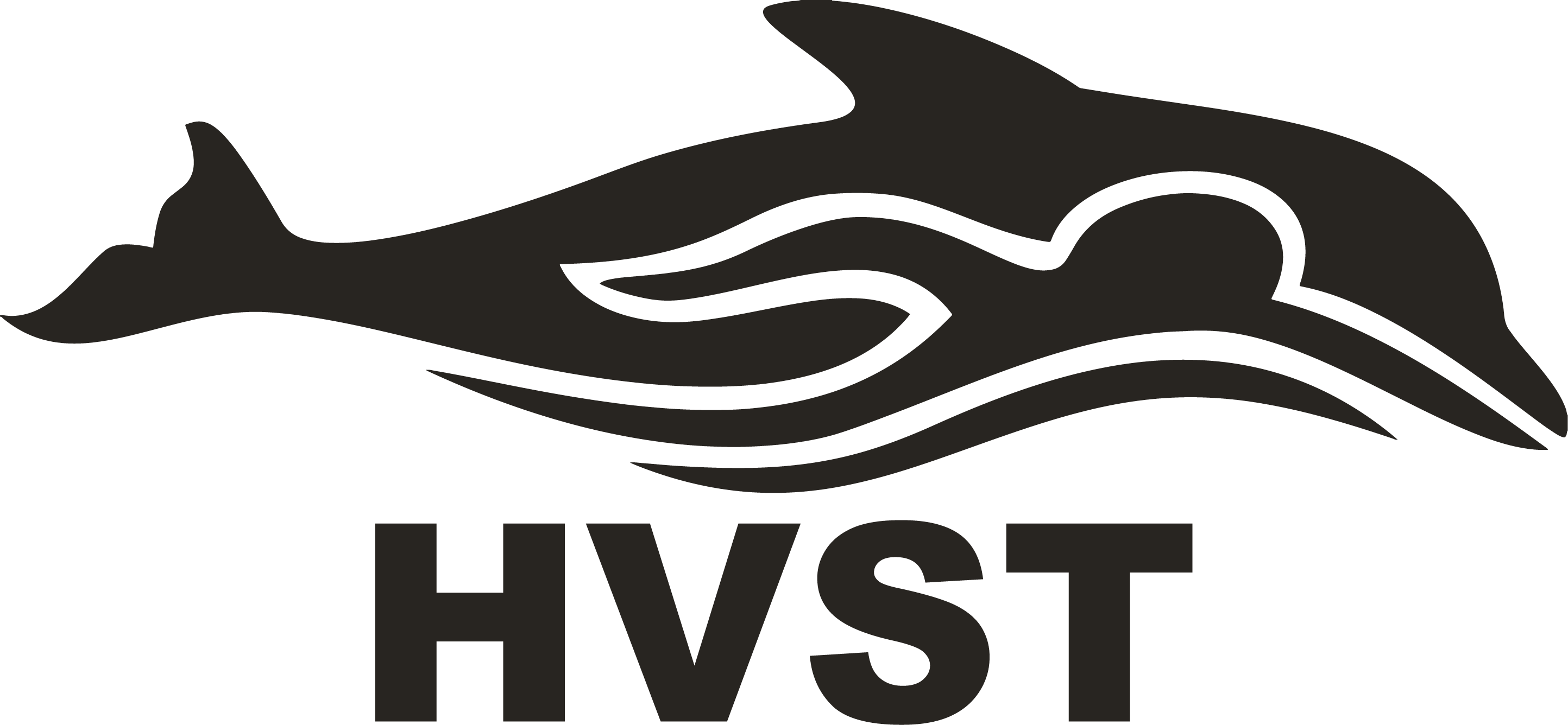 Summer Practice Schedule Harbor View Swim Team (HVST)