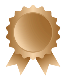Bronze Sponsorship