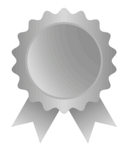 Silver Sponsorship