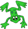 Forest Springs Frogs Logo