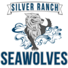SeaWolves Swim Team Logo
