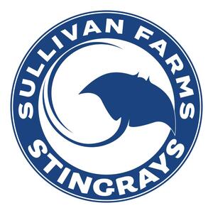Stingrays_logo