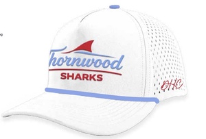 2026 TW Team Hat