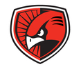 Frassati Catholic Academy Falcons Swim Team Logo