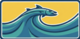 Barracudas_logo