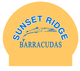 Simply_swim_caps_sunset_ridge_barracudas_2023_pr2