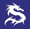 Spotsylvania YMCA Dragons Logo