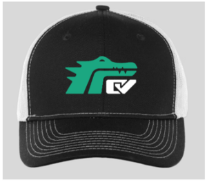 Hat_mesh