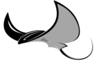 LifeTime Raleigh Logo