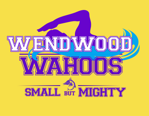 2026 Team T-shirt