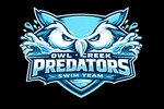 Owl Creek Swim Logo