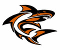 Alburtis Swim and Dive Team Logo
