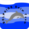 Petersburg Dolphins Logo
