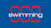 Sully Station II Swim Team Logo
