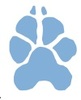Denmark High School Swim & Dive Logo