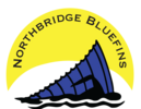 Bluefinslogo