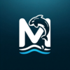 Meridian Killer Whales Logo